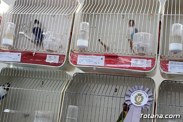 6 Campeonato Ornitolgico Regional Murciano - 201