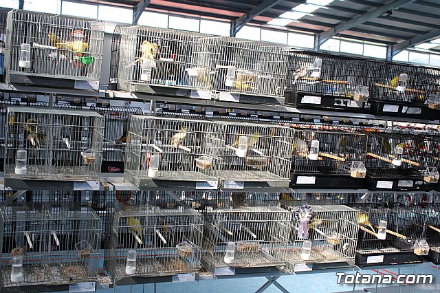 6 Campeonato Ornitolgico Regional Murciano - 202