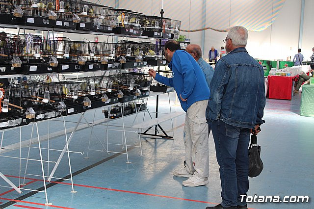 6 Campeonato Ornitolgico Regional Murciano - 203