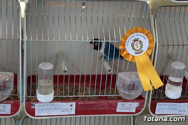 6 Campeonato Ornitolgico Regional Murciano - 205