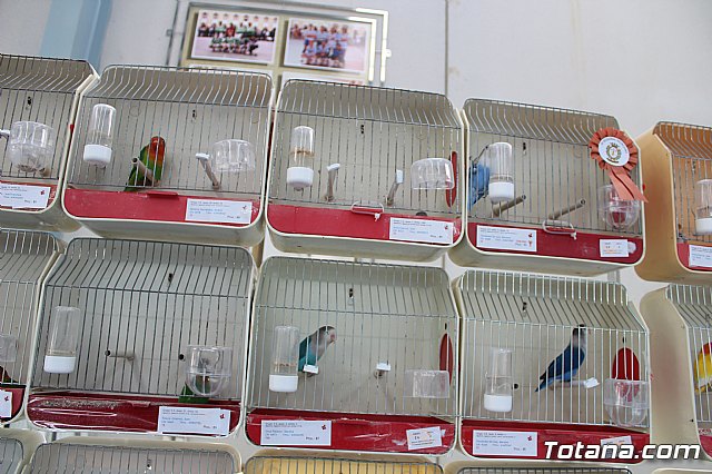 6 Campeonato Ornitolgico Regional Murciano - 210