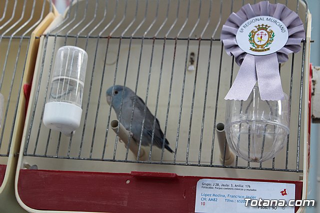 6 Campeonato Ornitolgico Regional Murciano - 215