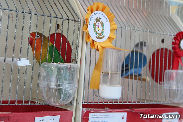 6 Campeonato Ornitolgico Regional Murciano - 218