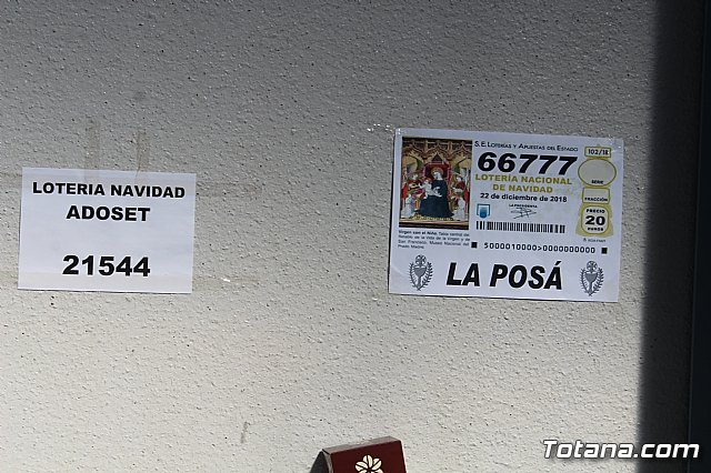 6 Campeonato Ornitolgico Regional Murciano - 231