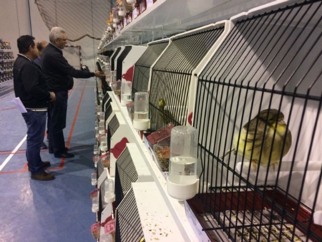 6 Campeonato Ornitolgico Regional Murciano - 235