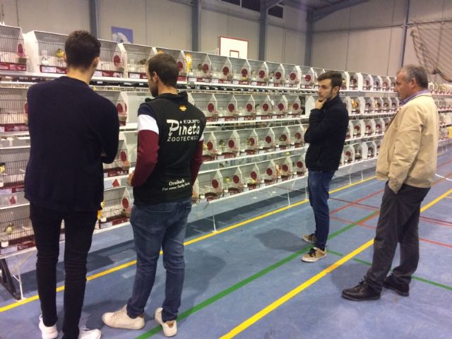 6 Campeonato Ornitolgico Regional Murciano - 237