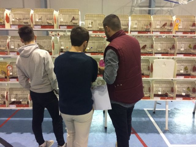 6 Campeonato Ornitolgico Regional Murciano - 238