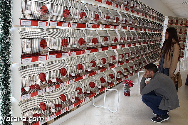 Exposicin ornitolgica 