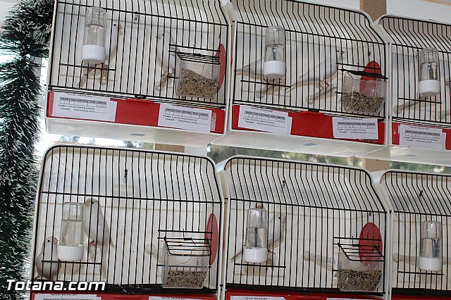 Exposicin ornitolgica 