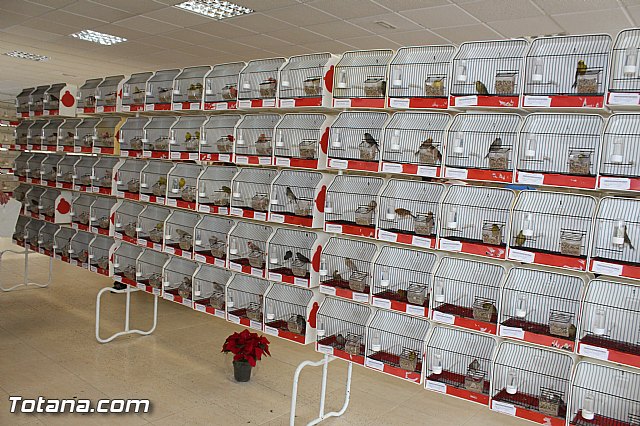 Exposicin ornitolgica 