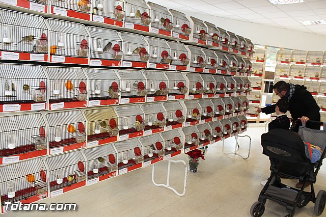 Exposicin ornitolgica 