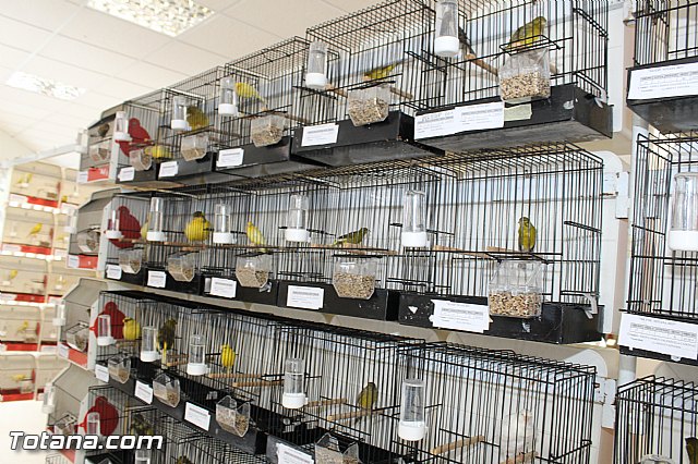 Exposicin ornitolgica 