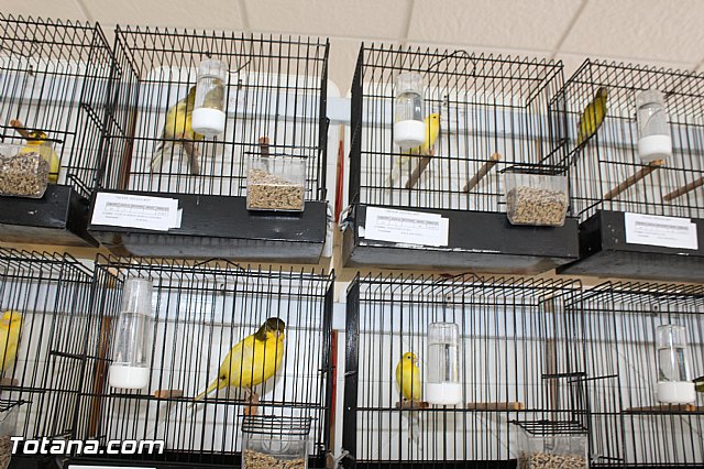 Exposicin ornitolgica 