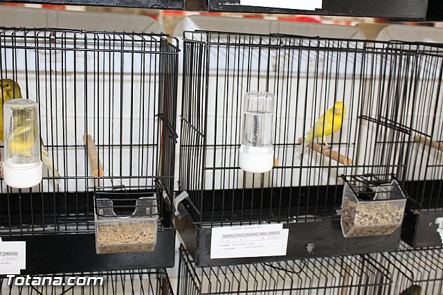 Exposicin ornitolgica 