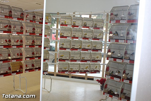 Exposicin ornitolgica 