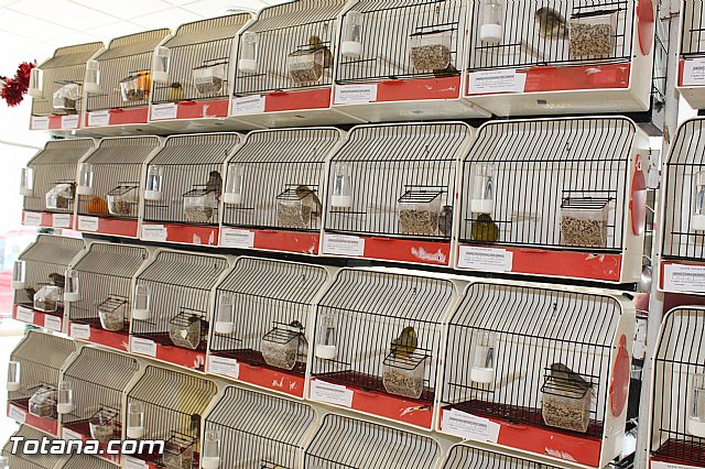 Exposicin ornitolgica 