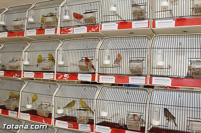 Exposicin ornitolgica 