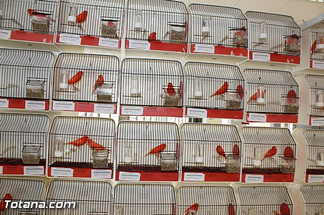 Exposicin ornitolgica 