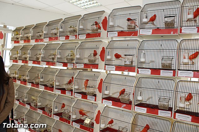 Exposicin ornitolgica 