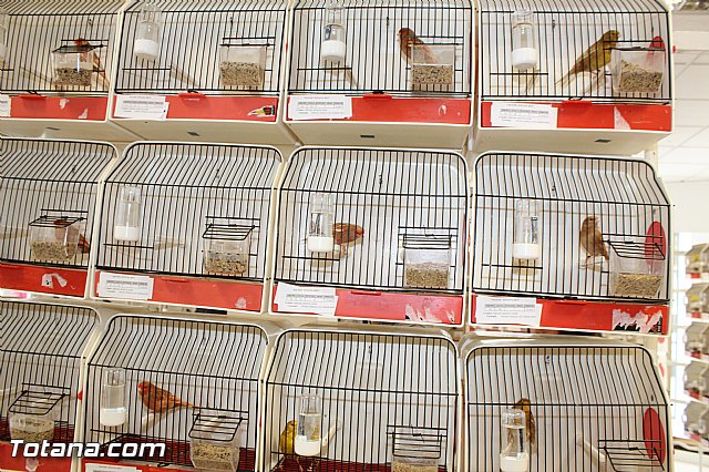 Exposicin ornitolgica 