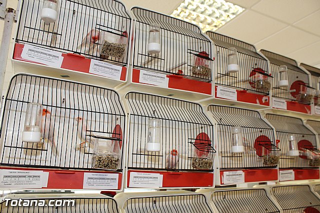 Exposicin ornitolgica 