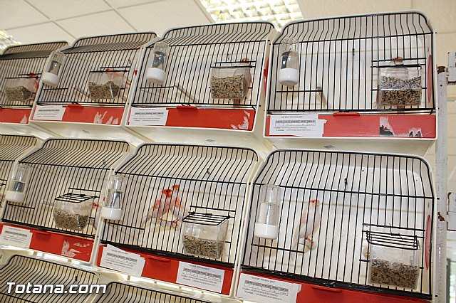 Exposicin ornitolgica 