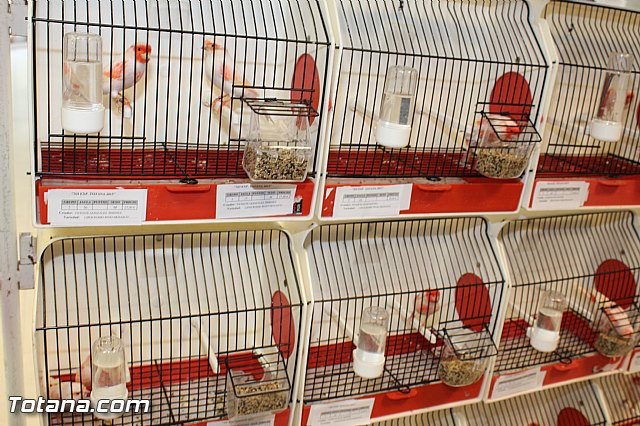 Exposicin ornitolgica 