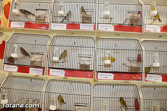 Exposicin ornitolgica 