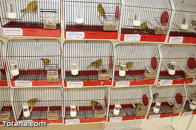 Exposicin ornitolgica 