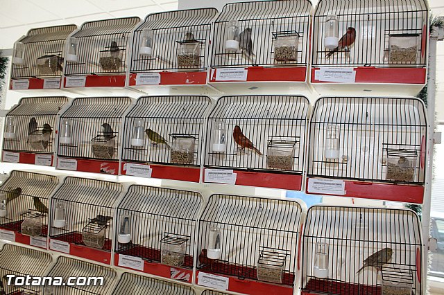Exposicin ornitolgica 