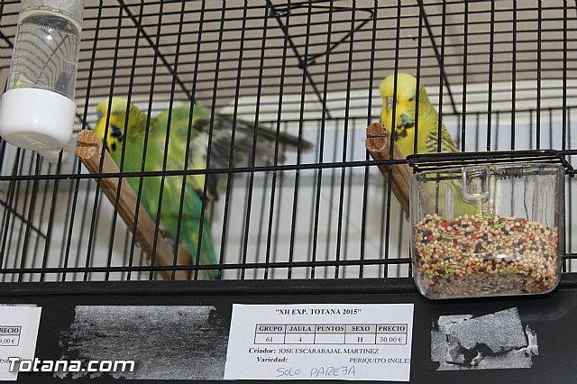 Exposicin ornitolgica 