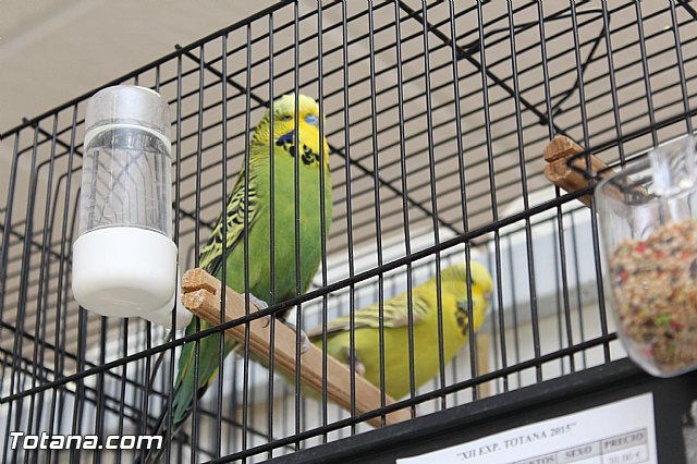 Exposicin ornitolgica 