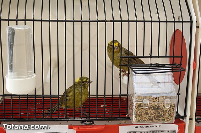 Exposicin ornitolgica 