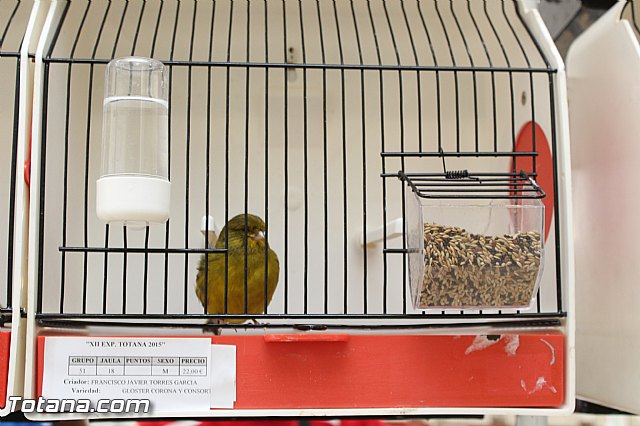 Exposicin ornitolgica 