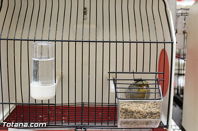 Exposicin ornitolgica 