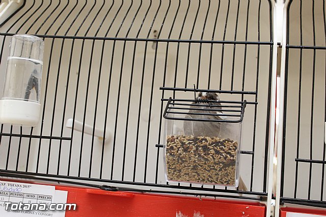 Exposicin ornitolgica 