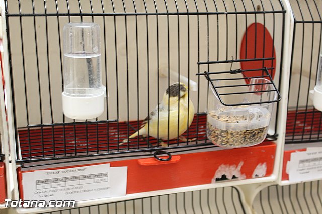 Exposicin ornitolgica 