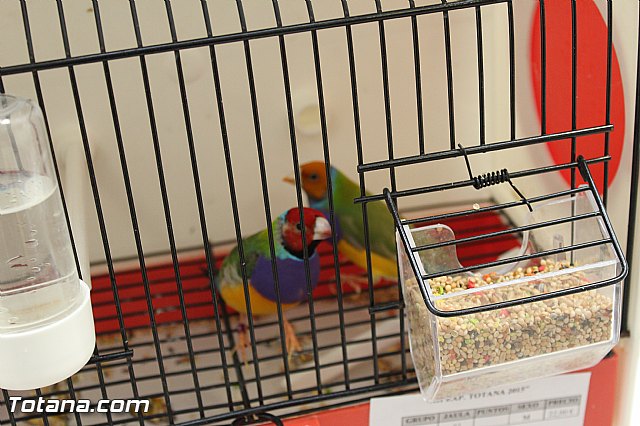 Exposicin ornitolgica 