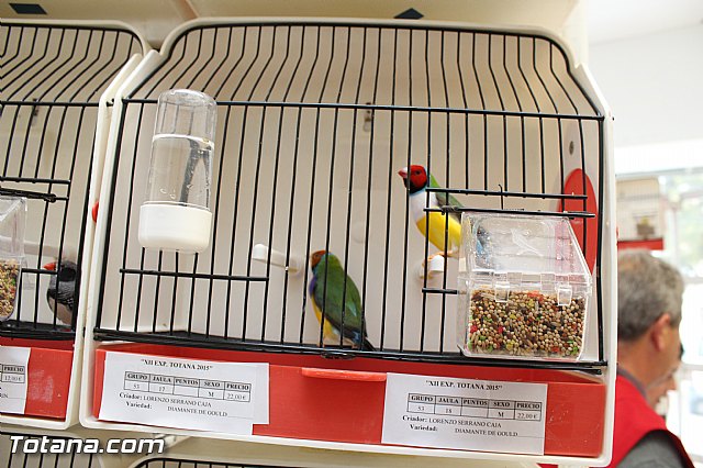 Exposicin ornitolgica 