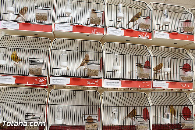 Exposicin ornitolgica 