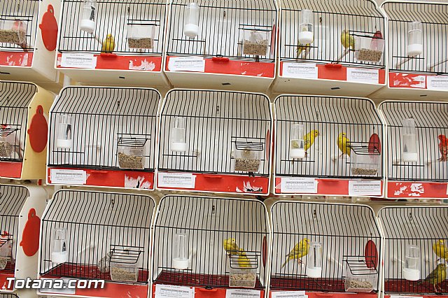 Exposicin ornitolgica 