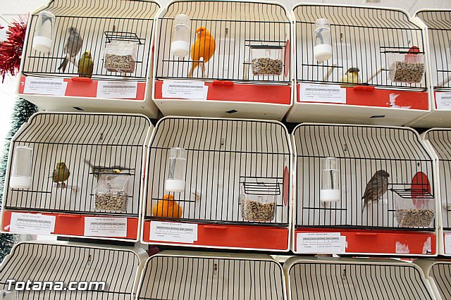 Exposicin ornitolgica 