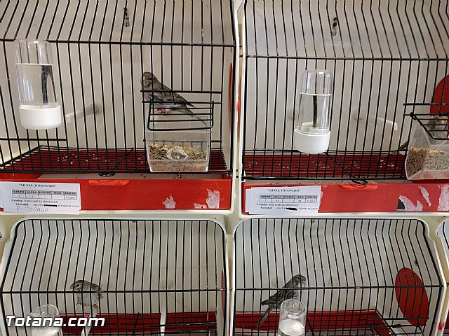 Exposicin ornitolgica 