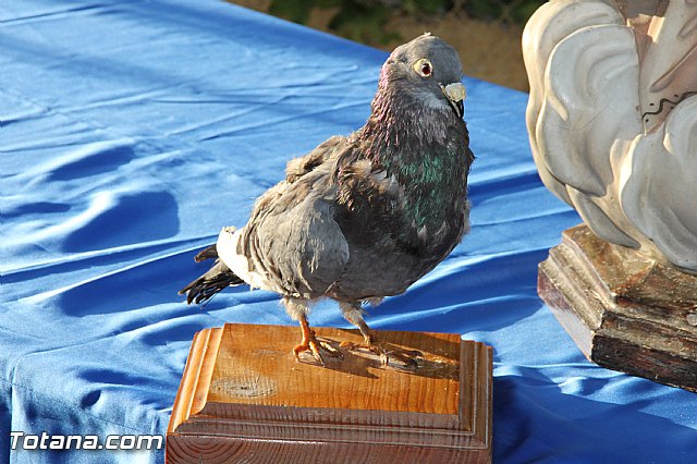 Misa fiestas de La Paloma 2016 (Mort, Lentiscosa y La Calzona) - 7