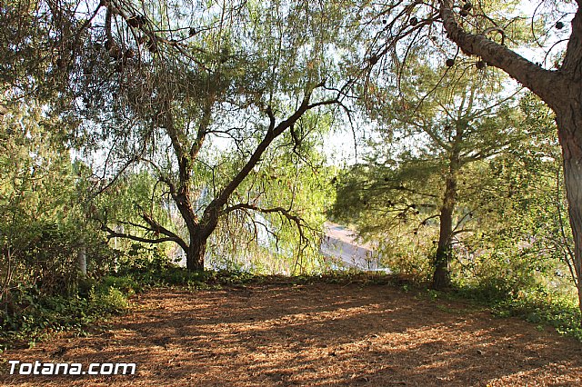 Misa fiestas de La Paloma 2016 (Mort, Lentiscosa y La Calzona) - 16