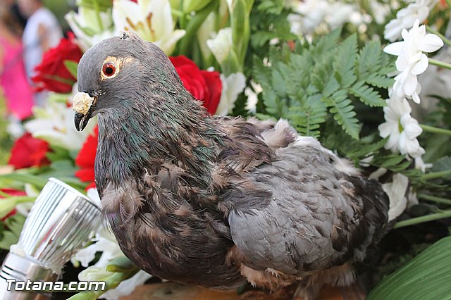 Fiestas de Mort, Lentiscosa y la Calzona en honor a la Virgen de la Paloma 2012 - 43