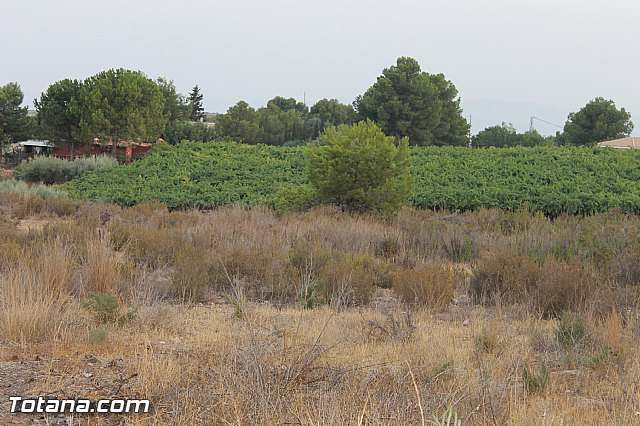Fiestas de Mort, Lentiscosa y la Calzona en honor a la Virgen de la Paloma 2012 - 152