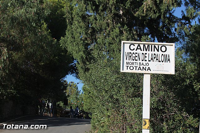 Procesin Virgen de la Paloma 2013 - 2
