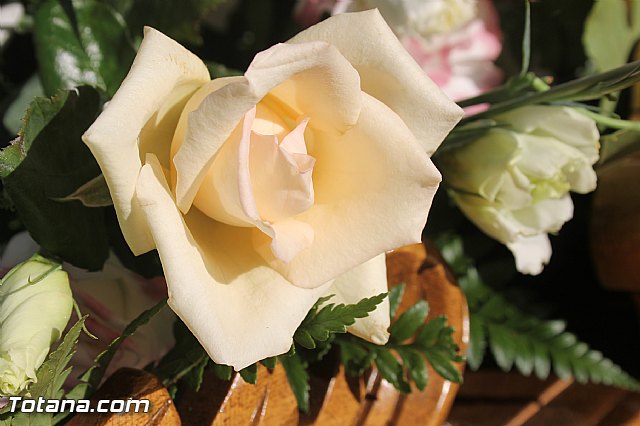 Procesin Virgen de la Paloma 2013 - 18