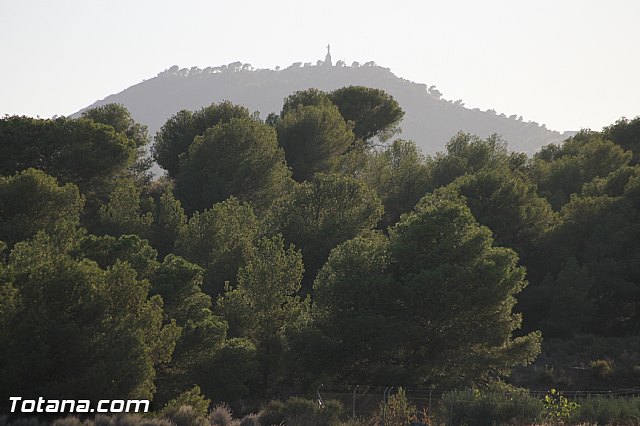 Procesin Virgen de la Paloma 2013 - 60